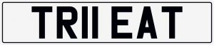 Treat cherished number plate TR11 EAT